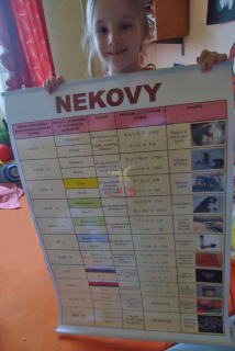 Nekovy - plakát na stěnu